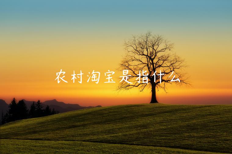 農(nóng)村淘寶是指什么